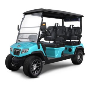 Evolution D5 Ranger-4 Street-Legal Golf Cart