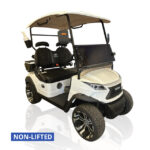 Venom Strike-2 Street-Legal Golf Cart